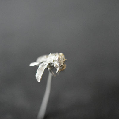 Die (letzte) Honigbiene