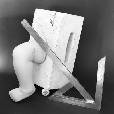 Kognition, 2019