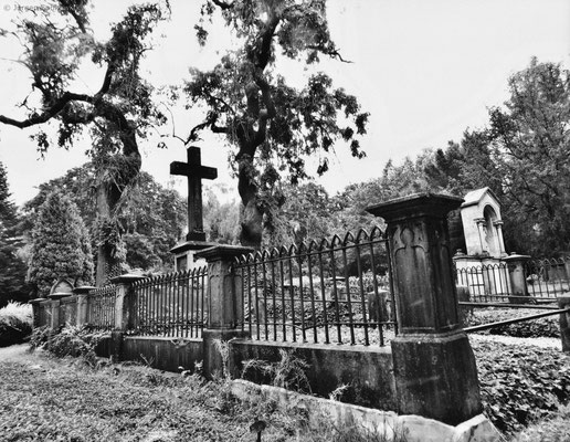 Requiem op. 48, 2016