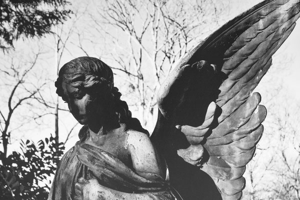 Requiem op. 27, 2016