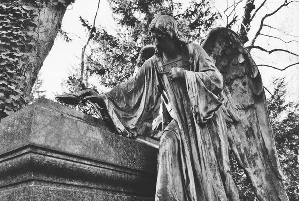 Requiem op. 36, 2016