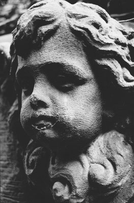 Requiem op. 33, 2016