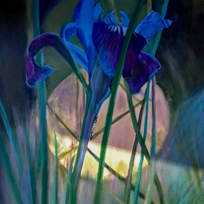 Iris   Acrylique sur toile