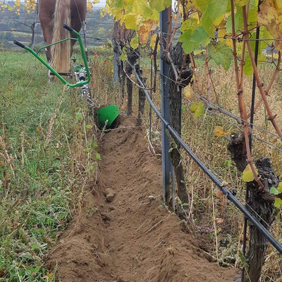 Maßanfertigungen von Trensen und Hundezubehör sind zur Zeit nicht möglich –  SLH-Reitsport