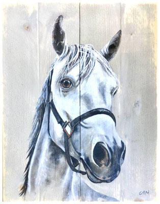 acrylverf op houten paneel