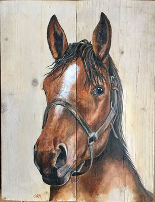 acrylverf op houten paneel