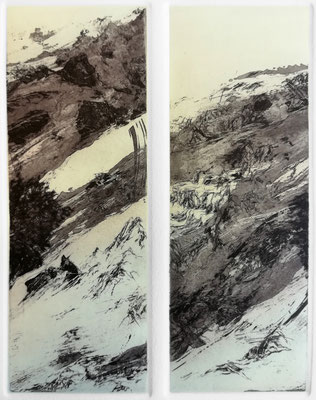 mimicrocosme 8 - fleur de soufre, marbrure, eau forte et pointe sèche - 2 plaques de 7,5 x 20 cm -  imprimé sur papier 40 x 40 cm - 2019