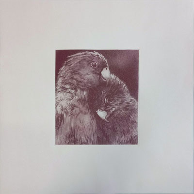 "Amour" 2025, aquatinte, eau-forte au trait, 50x50cm sur Magnani gris