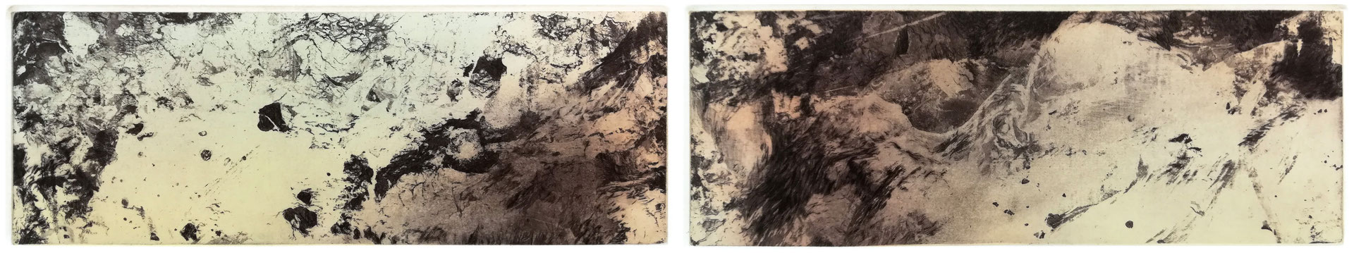 mimicrocosme 1 - fleur de soufre, marbrure, eau forte et pointe sèche - 2 plaques de 20 x 7,5 cm -  imprimé sur papier 76 x 25 cm - 2019