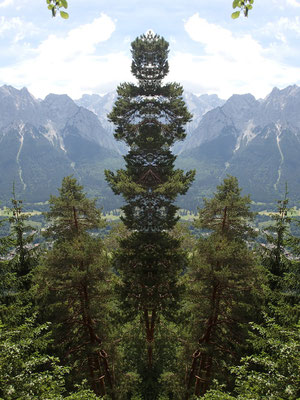 Die Philosophie der Einfachheit, für deinen spirituellen Weg/ www.wildnisgeist.de