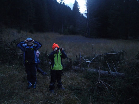 Wildnisschule-Naturgruppe-Grundschüler-Die Waldläufer - www.wildnisgeist.de