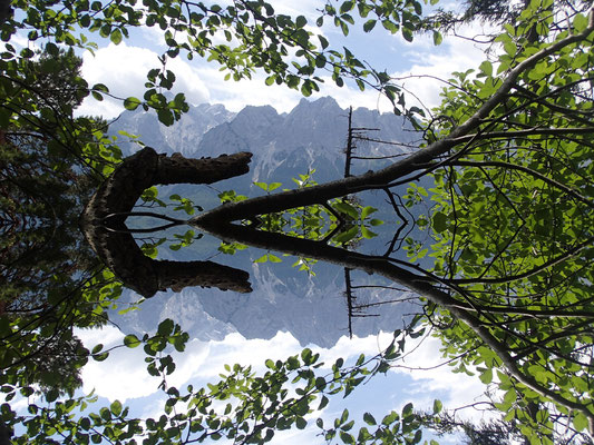 Die Philosophie der Einfachheit, für deinen spirituellen Weg/ www.wildnisgeist.de