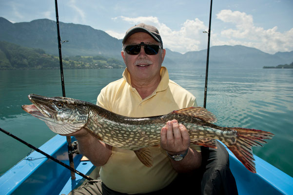 Gastangler fängt Hecht im Attersee