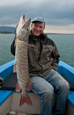 102cm Hecht aus dem Attersee