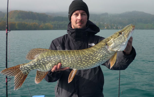 Gastangler Mike fängt Hecht mit 88cm im Attersee