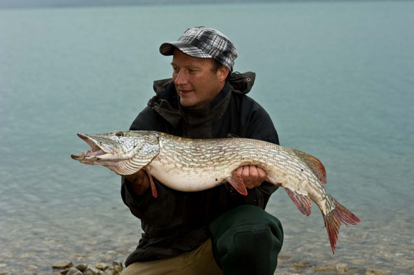 101cm Hecht aus dem Attersee