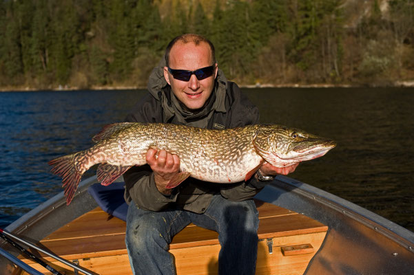 100cm Hecht aus dem Traunsee gefangen mit einer Perlmuttspange von www.hechtguide.com