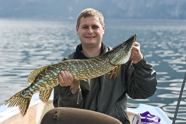 Gastangler David fängt Hecht mit 87cm im Traunsee