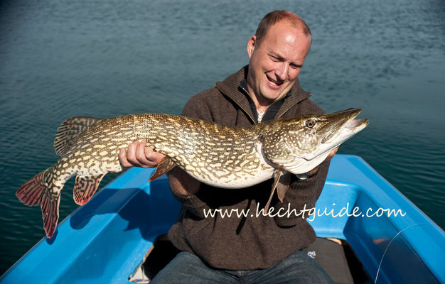 110cm Hecht, gefangen beim Schleppfischen am Attersee, Hechtfischen am Attersee