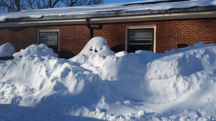 Snow and More!