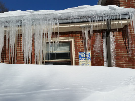 Winter at PLC