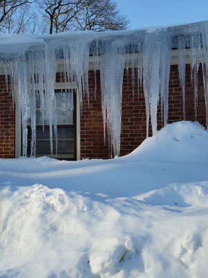 Winter's Grip 2015