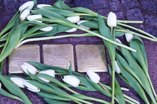 Stolpersteine für Esther Streifler, geb. Grünberg, Marie Streifler und Frieda Kaufmann, geb. Streifler
