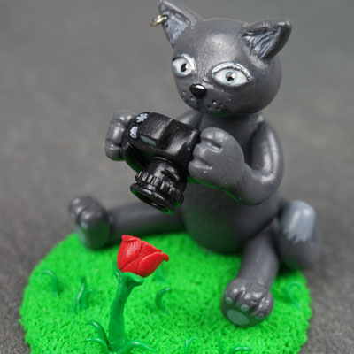 Katzen Fotografin