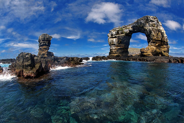 Galapagos Shark Diving - Darwins Arch Galapagos Islands