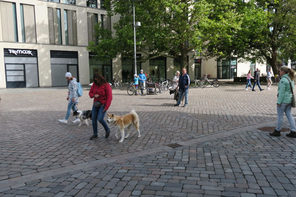 Geübt wird im F-Kurs auch in der Stadt.