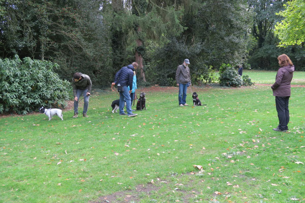 Die Hunde lernen auch im Park ruhig zu warten.