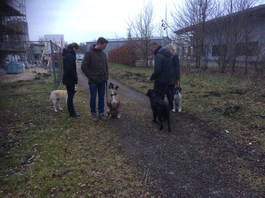 Training im Gelände