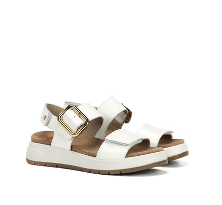 F2166 du 36 au 41 Blanco 99€