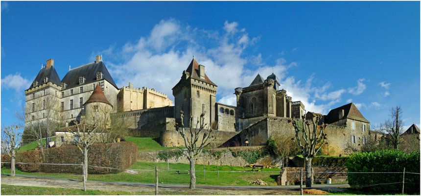 Château de Biron (24)