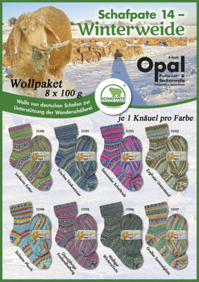 Wollpaket Opal Schafpate 14 Winterweide