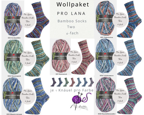 Wollpaket Pro Lana Bamboo Socks color Two