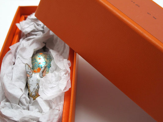 Le lapin de Nola dans sa boite 