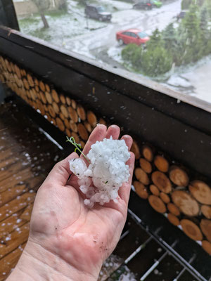 Der Himmel rabenschwarz. Der Hagel donnert an die Fensterscheiben. Draußen geht die Welt unter. Und danach ist alles weiß wie im Winter.