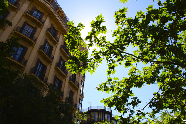 Barcelona | Spanien 