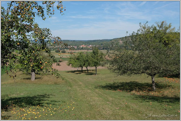 Im Hintergrund Unterjesingen