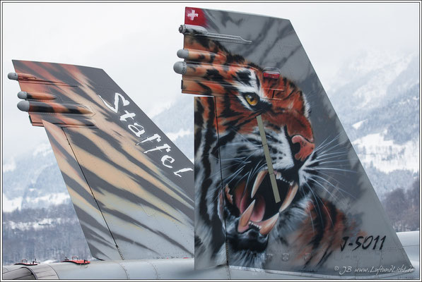 der neue Tiger