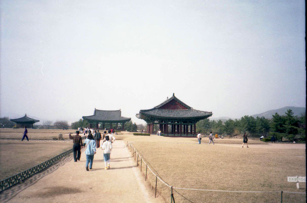 不明