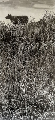 Philine van der Vegte