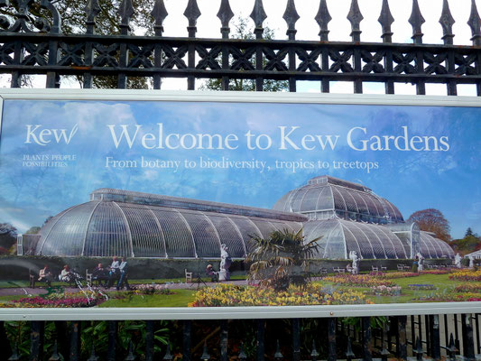 Palm House