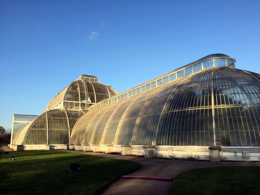 Palm House