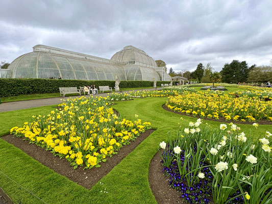 Palm House