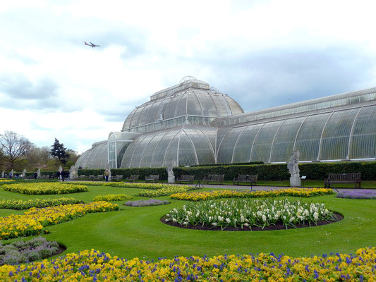 Palm House