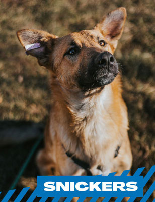 Snickers