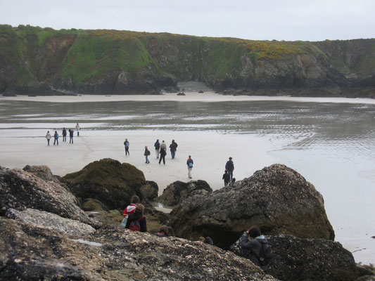 Marche sur la plage à la recherche du Briovérien