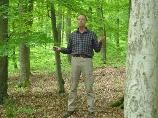 Hans-Helmut Hofmann zeigt den ehemaligen Meilerplatz zur Holzkohlegewinnung für die Eisenerzeugung
